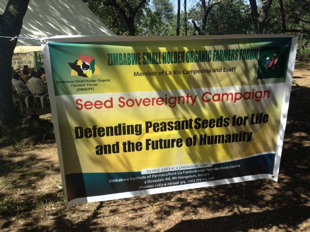 Defending peasant seeds is fighting for our right to life